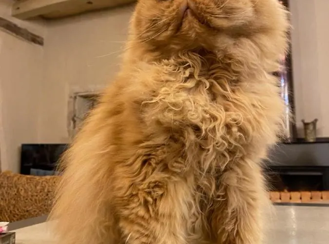 Nyaraló La Pause Noble Val *