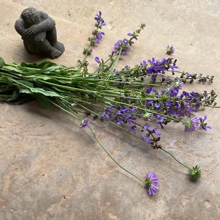 Semesterbostad La Pause Noble Val *