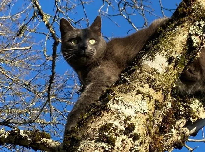 Casa vacanze La Pause Noble Val *