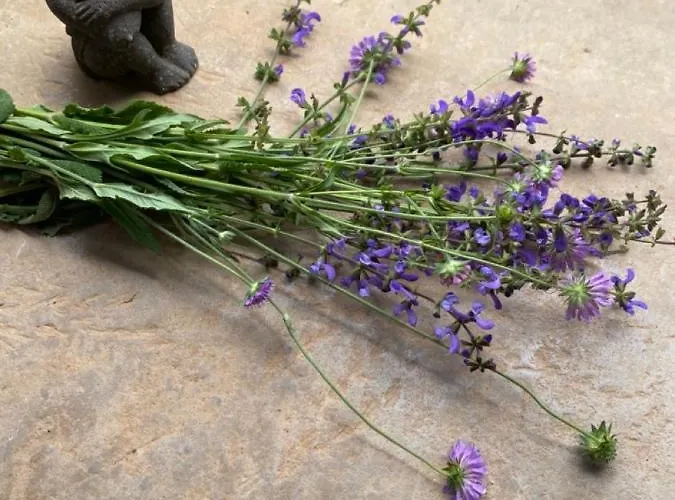 Casa vacanze La Pause Noble Val *