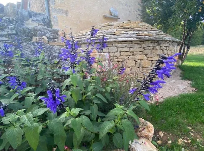 Casa vacanze La Pause Noble Val Saint-Antonin